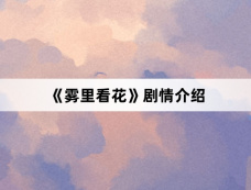 《雾里看花》剧情介绍