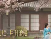 《星汉灿烂·月升沧海》影视资讯大全