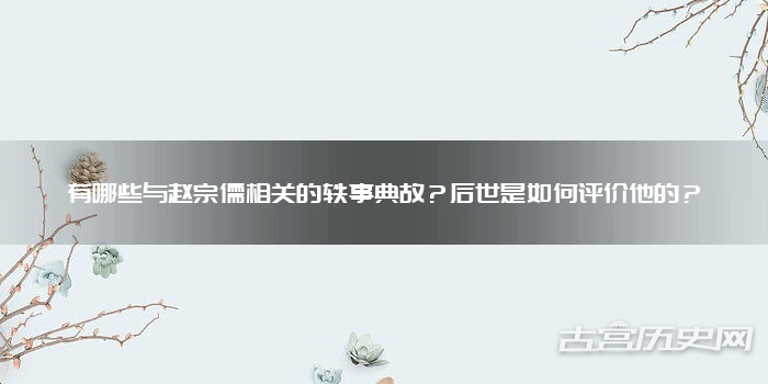 有哪些与赵宗儒相关的轶事典故？后世是如何评价他的？