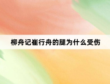 柳舟记崔行舟的腿为什么受伤