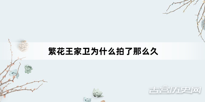繁花王家卫为什么拍了那么久