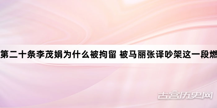 第二十条李茂娟为什么被拘留 被马丽张译吵架这一段燃到了