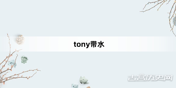 “tony带水”网络梗词解释