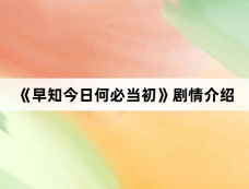 《早知今日何必当初》剧情介绍