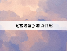 《雪迷宫》看点介绍