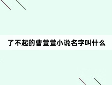 了不起的曹萱萱小说名字叫什么