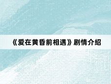 《爱在黄昏前相遇》剧情介绍