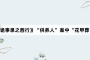 《唐朝诡事录之西行》“供养人”案中“花甲葬”的习俗是什么