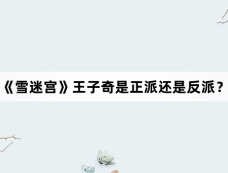 《雪迷宫》王子奇是正派还是反派？