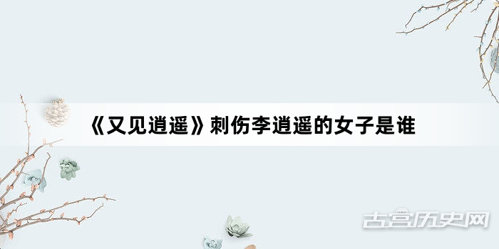 《又见逍遥》刺伤李逍遥的女子是谁
