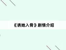 《诱她入骨》剧情介绍