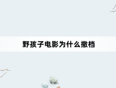 野孩子电影为什么撤档