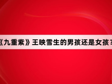 《九重紫》王映雪生的男孩还是女孩?