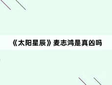 《太阳星辰》麦志鸿是真凶吗