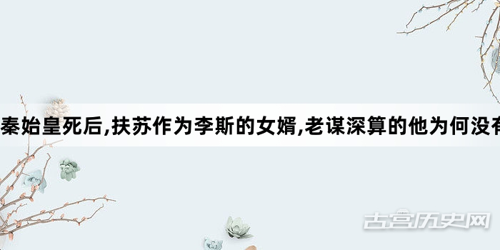 秦始皇死后,扶苏作为李斯的女婿,老谋深算的他为何没有扶苏登基,反而联手赵高助胡亥称帝