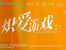 电视剧《炽爱游戏》播出平台