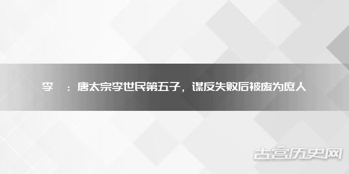 李祐：唐太宗李世民第五子，谋反失败后被废为庶人