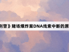 《我是刑警》赌场爆炸案DNA线索中断的原因是什么
