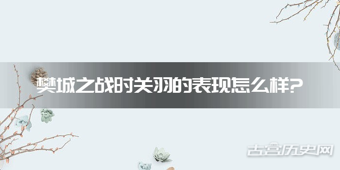 樊城之战时关羽的表现怎么样?