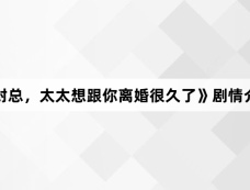 《封总,太太想跟你离婚很久了》剧情介绍