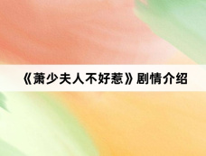 《萧少夫人不好惹》剧情介绍