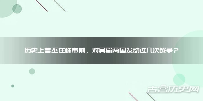 历史上曹丕在称帝前，对吴蜀两国发动过几次战争？