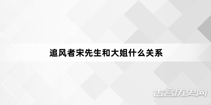 追风者宋先生和大姐什么关系
