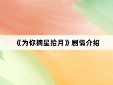 《为你摘星拾月》剧情介绍