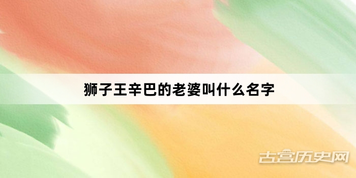 狮子王辛巴的老婆叫什么名字