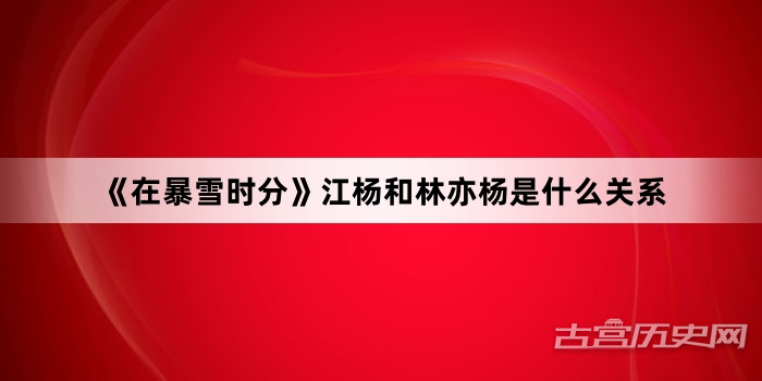 《在暴雪时分》江杨和林亦杨是什么关系