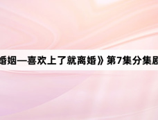 《商业婚姻—喜欢上了就离婚》第7集分集剧情介绍