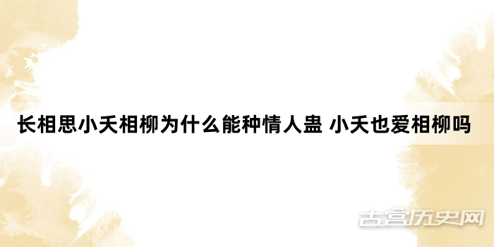 长相思小夭相柳为什么能种情人蛊 小夭也爱相柳吗