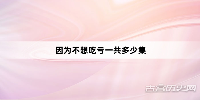 因为不想吃亏一共多少集