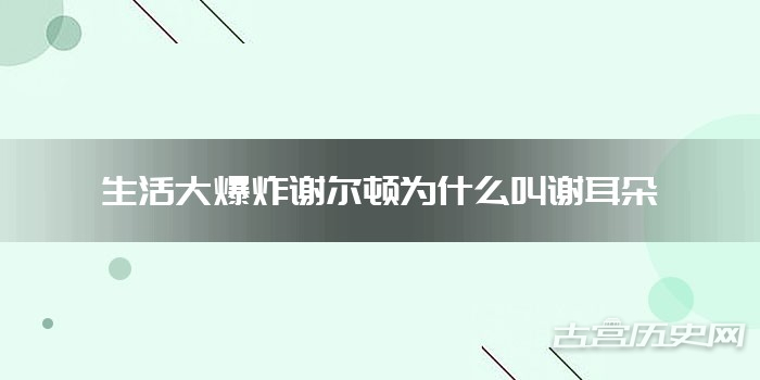 生活大爆炸谢尔顿为什么叫谢耳朵