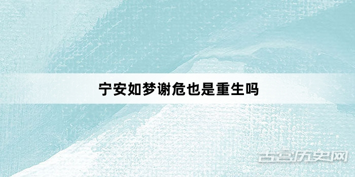 宁安如梦谢危也是重生吗
