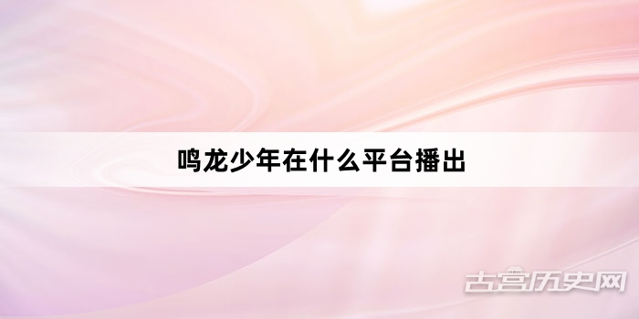 鸣龙少年在什么平台播出