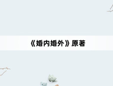 《婚内婚外》原著