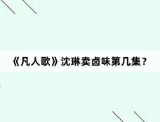 《凡人歌》沈琳卖卤味第几集？