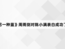 《另一种蓝》周雨剑对陈小满表白成功了吗