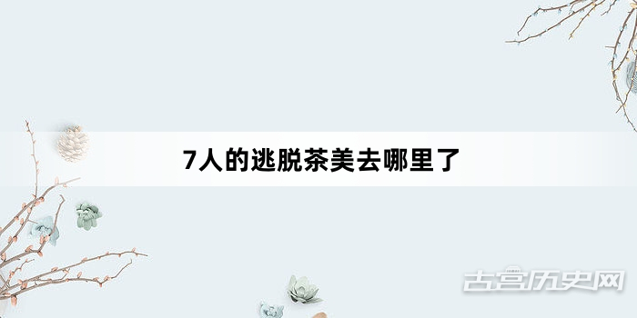 7人的逃脱茶美去哪里了