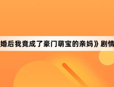 《隐婚后我竟成了豪门萌宝的亲妈》剧情介绍