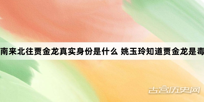 南来北往贾金龙真实身份是什么 姚玉玲知道贾金龙是毒贩吗