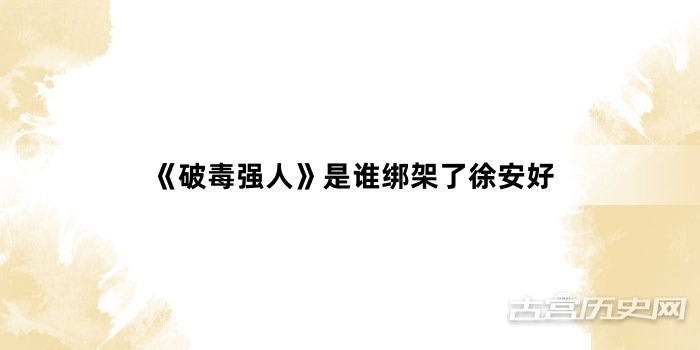 《破毒强人》是谁绑架了徐安好