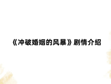 《冲破婚姻的风暴》剧情介绍