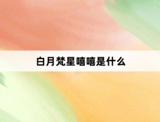 白月梵星嘻嘻是什么