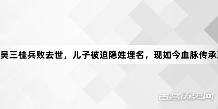 吴三桂兵败去世，儿子被迫隐姓埋名，现如今血脉传承到第十代
