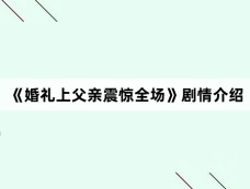《婚礼上父亲震惊全场》剧情介绍