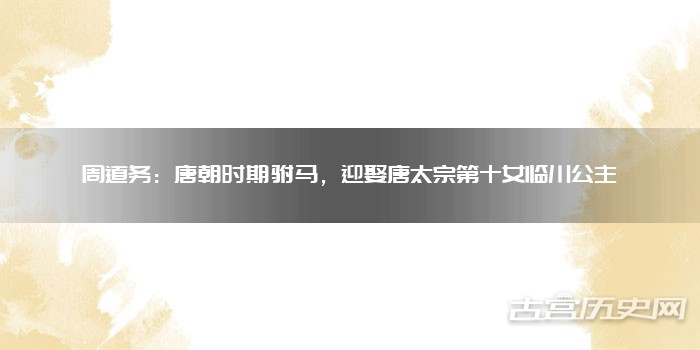 周道务：唐朝时期驸马，迎娶唐太宗第十女临川公主