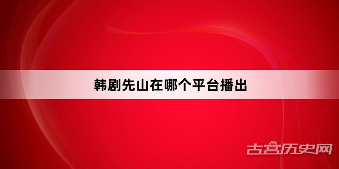 韩剧先山在哪个平台播出