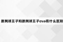 新网球王子和新网球王子ova有什么区别